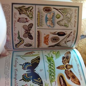 The Gardener's Bug Book - Fourth Edition By Cynthia Westcott